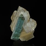 Elbaite (variety indicolite), Quartz (variety smoky quartz)
6.0 x 4.4 cm
(Autor: am mizunaka)