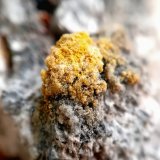 Steropesite
1-2 mm
(Autor: mineralenzo)