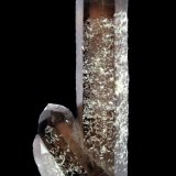Smoky Quartz, Bertrandite
Specimen size 13 cm
(Autor: Tobi)