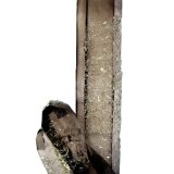 Quartz (variety smoky), Bertrandite
Specimen height 13 cm
(Autor: Tobi)