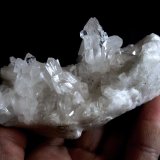 Quartz
Specimen size 12,5 cm, largest crystal 3 cm
(Autor: Tobi)