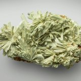Kottigite, Parasymplesite
28x15x14 mm
(Autor: xdxucn)