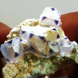 Fluorite
4.1 cm
(Autor: Bob Carnein)