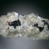 Fluorite, Galena
13x6x5 cm
(Autor: Jesse Fisher)
