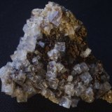 Fluorite
10cm
(Autor: colin robinson)