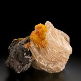 Leiteite and Legrandite
5 x 4.5 x 4.5 cm / main crystal: 4.2 cm.
(Autor: MIM Museum)