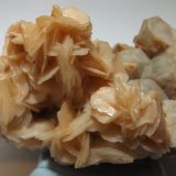Calcite
10cm x 8cm
(Autor: markbeckett)
