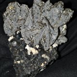 Löllingite
17x12x7 cm
(Autor: Joseph DOliveira)