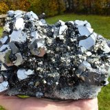 Galena, Pyrite, Sphalerite, Quartz
Specimen size 19 x  12 x 7 cm, largest galena crystals ~ 2 cm
(Autor: Tobi)