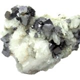 Galena, quartz
Specimen size 12 cm, largest galena crystal 1 cm
(Autor: Tobi)