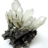 Quartz, tourmaline
Specimen height 7 cm
(Autor: Tobi)