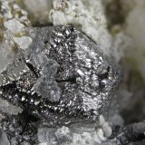Magnetite
FOV 1.3 cm
(Autor: Cesar M. Salvan)