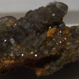 Fluorapatite
3.1cm x 1.5cm
(Autor: markbeckett)