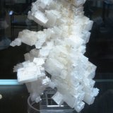 Halite
Approx. 25 cm
(Autor: Tobi)