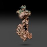 Copper
136.1 x 50.6 x 18 mm
(Autor: k-m.minerals)