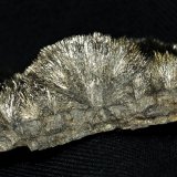 Millerite
5x2.5x1.5 cm
(Autor: Joseph DOliveira)