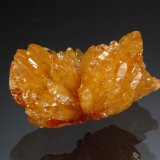 Mimetite
1.5 x 2.0 cm
(Autor: Michael Shaw)
