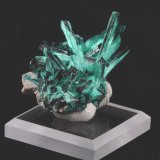 Brochantite
3.5 x 3.3 x 2.0 cm
(Autor: steven calamuci)