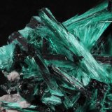 Brochantite
3.5 x 3.3 x 2.0 cm
(Autor: steven calamuci)