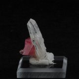 Rhodochrosite and Quartz
2.6 x 1.7 x 1.7 cm
(Autor: steven calamuci)