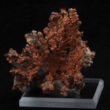 Copper
5.6 x 4.1 cm
(Autor: steven calamuci)