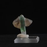 Tourmaline and Quartz
3.1 x 2.8 x  2.5 cm
(Autor: steven calamuci)