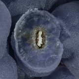 Fluorite
(Autor: Tobi)