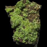 Pyromorphite
20 x 17 x 4 mm
(Autor: Rob Schnerr)