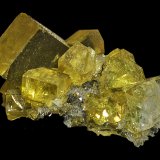 Fluorite
8 x 4 x 3 mm
(Autor: Rob Schnerr)