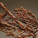 Copper
9.4 x 15.8 cm, FOV~10.0 cm
(Autor: Michael Shaw)