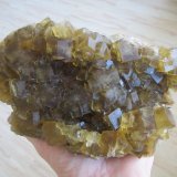 Fluorite
Specimen size 19 cm, largest crystal 2,3 cm
(Autor: Tobi)