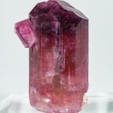 Elbaite (variety rubellite)
Specimen height 3 cm
(Autor: Tobi)