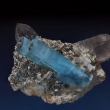 Beryl (var aquamarine), Quartz, Albite, Muscovite
10.0 x 8.3 cm
(Autor: am mizunaka)