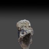 Carpholite
4.2cm x 2.2cm x 1.7cm
(Autor: k-m.minerals)