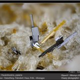 Pseudobrookite and Enstatite
fov 2.2 mm
(Autor: ploum)
