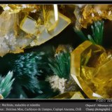 Wulfenite, Mimetite and Malachite
fov 2.2 mm
(Autor: ploum)