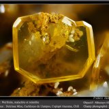 Wulfenite
fov 2.2 mm
(Autor: ploum)