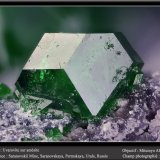 Uvarovite on Amesite
fov 2.2 mm
(Autor: ploum)