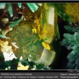 Malachite, Wulfenite and Mimetite
fov 2.2 mm
(Autor: ploum)