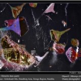 Hematite inclusions on Quartz
2.2 mm
(Autor: ploum)