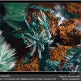 Brochantite
fov 2 mm
(Autor: ploum)