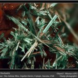 Brochantite
fov 2 mm
(Autor: ploum)