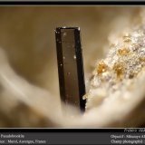 Pseudobrookite
fov 2.2 mm
(Autor: ploum)