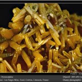 Pyromorphite
fov 12 mm
(Autor: ploum)