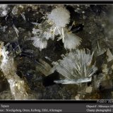 Topaz
fov 2.2 mm
(Autor: ploum)