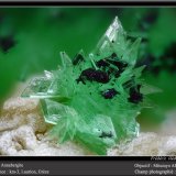 Annabergite
fov 2.2 mm
(Autor: ploum)