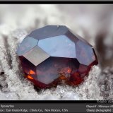 Spessartine
fov 2.2 mm
(Autor: ploum)