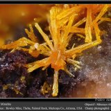 Mimetite
fov 2.4 mm
(Autor: ploum)