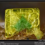 Autunite and torbernite
fov 2.2 mm
(Autor: ploum)