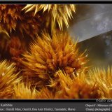 Karibibite
fov 2.2 mm
(Autor: ploum)